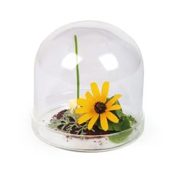 Portuguese Tableware 2 x Large Domed Glass Cloche, 11cm dia Best