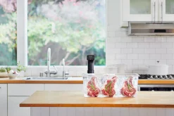 Anova Sous Vide Precision Cooker Pro Clearance
