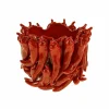 Wernervob Ceramic Small Chilli Vase Online