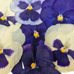 Sous Chef Edible Dried & Pressed Giant Pansies, 8 pieces Online