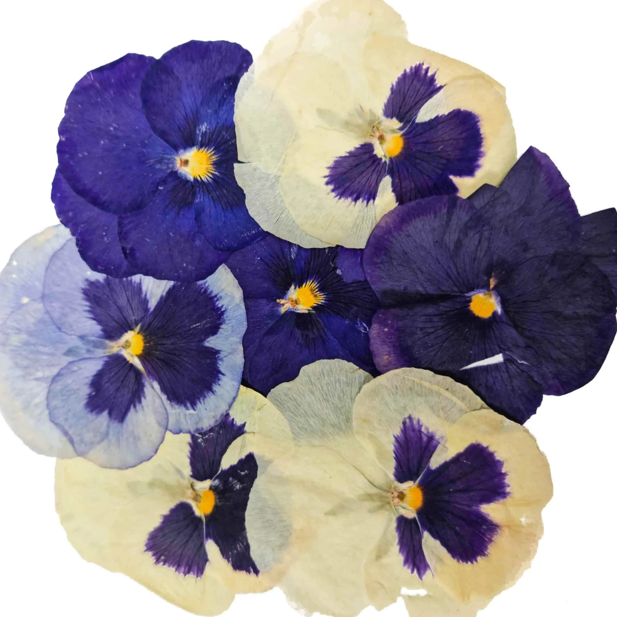 Sous Chef Edible Dried & Pressed Giant Pansies, 8 pieces Online