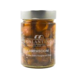 Galantino Lampascioni in Extra Virgin Olive Oil, 320g Hot