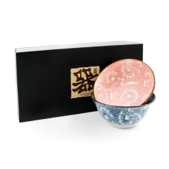 Kiji Stoneware & Ceramics Japanese Bowl Set