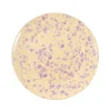 Puglia Handmade Puglia Lilac Splatter Dinner Plate, 27cm