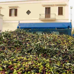 Galantino Puglian Extra Virgin Olive Oil in Yellow Splatter Ceramic Bottle, 500ml Best