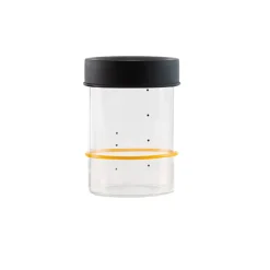 Sourhouse Starter Jar, Pint Online
