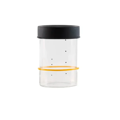 Sourhouse Starter Jar, Pint Online