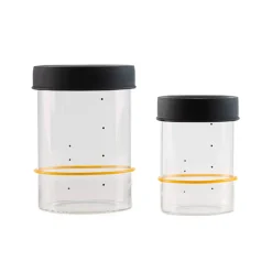 Sourhouse Starter Jar, Pint Online