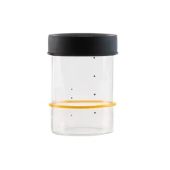 Sourhouse Starter Jar, Quart Clearance