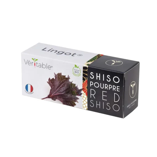 Veritable Asian Lingot Insert, Organic Red Shiso
