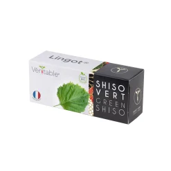 Veritable Asian Lingot Insert, Organic Green Shiso Sale
