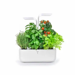Veritable Classic Indoor Herb Garden Sale