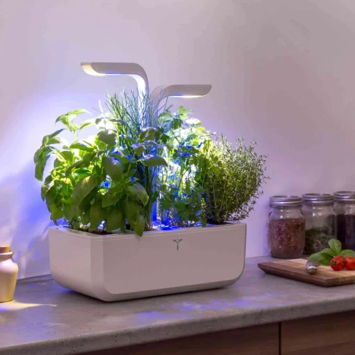 Veritable Classic Indoor Herb Garden Sale