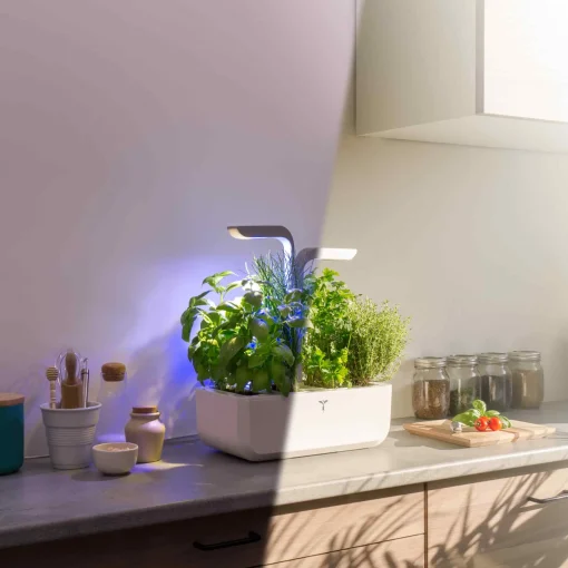 Veritable Classic Indoor Herb Garden Sale