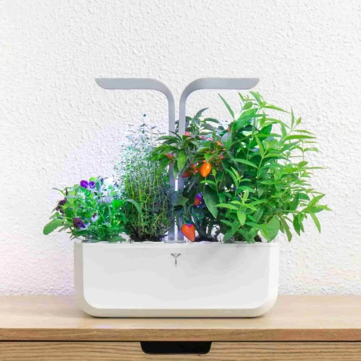 Veritable Classic Indoor Herb Garden Sale