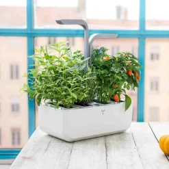 Veritable Classic Indoor Herb Garden Sale