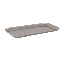Vintage Style Stainless Steel Rectangular Serving Tray, 19.5x8.5cm Sale