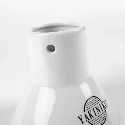 Yakiniku Ceramic Sitting Chicken Roaster Best